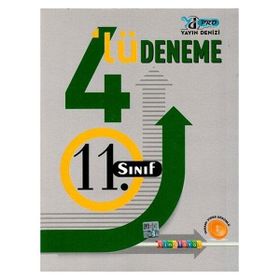 Yayın Denizi Yayınları - 11. Sınıf 4'lü Deneme