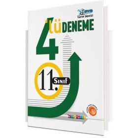 Yayın Denizi Yayınları - 11. Sınıf 4'lü Deneme