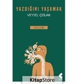 Yazdığını Yaşamak - Veysel Çolak