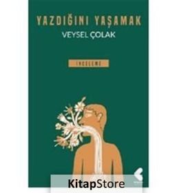 Yazdığını Yaşamak - Veysel Çolak