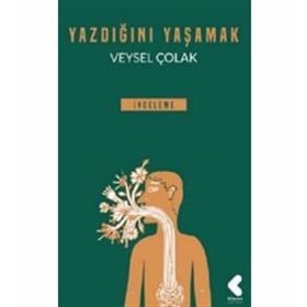 Yazdığını Yaşamak - Veysel Çolak