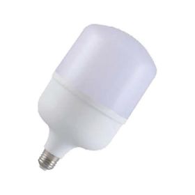 Ycl YL-185G 40W E27 Günışığı PVC Led Ampul