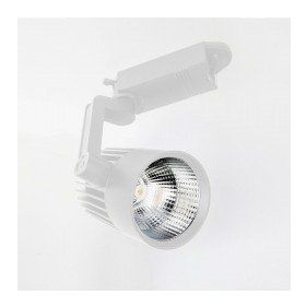 Ycl YRS-205B 30W Led Ray Spot