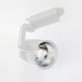 Ycl YRS-205B 30W Led Ray Spot