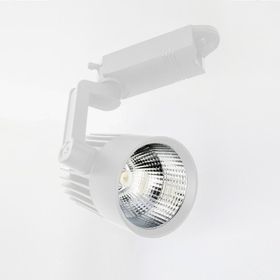 Ycl YRS-205B 30W Led Ray Spot
