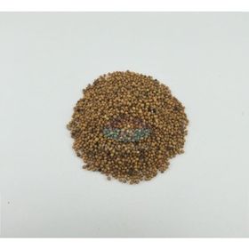 Yelken 100 gr Hardal Tohumu