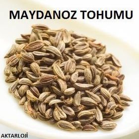 Yelken 100 gr Maydanoz Tohumu