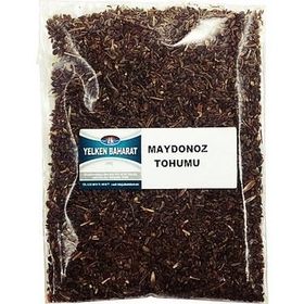 Yelken 100 gr Maydanoz Tohumu