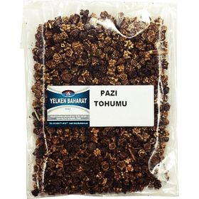 Yelken 100 gr Pazı Tohumu