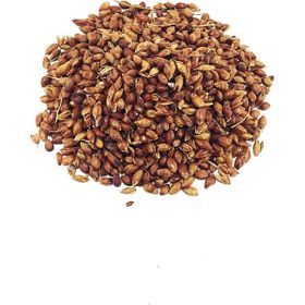 Yelken 100 gr Süpürge Tohumu