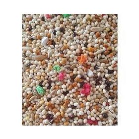 Yemcipetshop 1 kg Açık Muhabbet Kuşu Yemi
