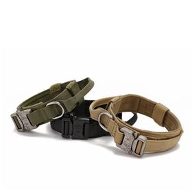 Yemcipetshop RX010 Large Boyun Köpek Tasması