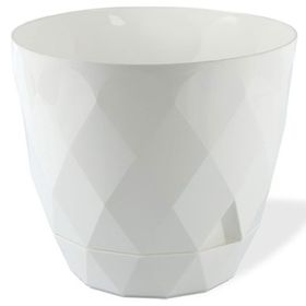 Yeni Özel Beyaz 14 cm Yakamoz Saksı