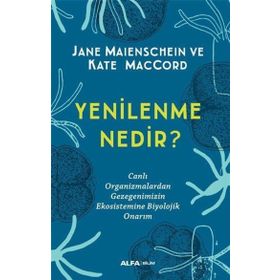 Yenilenme Nedir? Alfa Yayınları