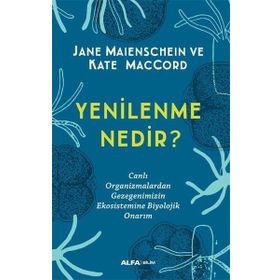 Yenilenme Nedir? Alfa Yayınları