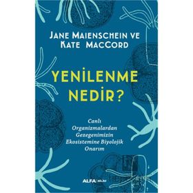 Yenilenme Nedir? Alfa Yayınları