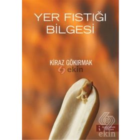 YER FISTIĞI BILGESI - KIRAZ GÖKIRMAK