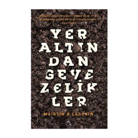 Yeraltından Gevezelikler - Mairtin O Cadhain