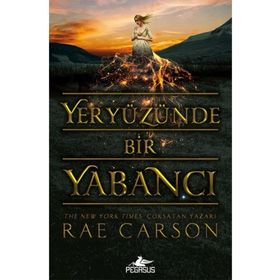 Yeryüzünde Bir Yabancı - Rae Carson
