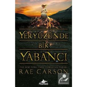 Yeryüzünde Bir Yabancı - Rae Carson