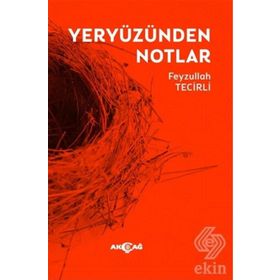 Yeryüzünden Notlar - Feyzullah Tecirli