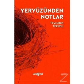 Yeryüzünden Notlar - Feyzullah Tecirli