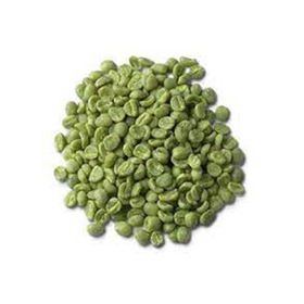 Yeşil Kahve Çekirdek 500 gr Kavrulmamış Kahve Çekirdeği