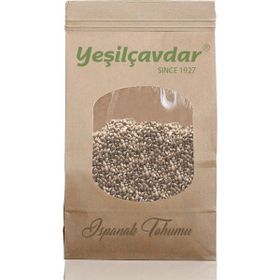 Yeşilçavdar 100 gr Ispanak Tohumu