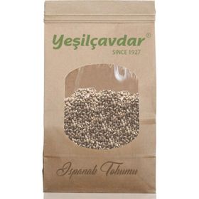 Yeşilçavdar 100 gr Ispanak Tohumu