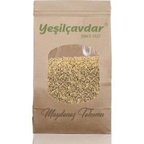 Yeşilçavdar 100 gr Maydonoz Tohumu