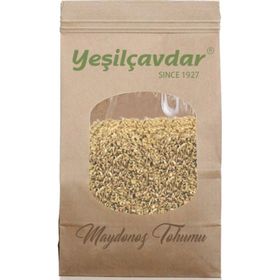 Yeşilçavdar 250 gr Maydonoz Tohumu