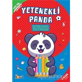 Yetenekli Panda Yaz Sil Kalemli Kitap - Bıcırık Yayınları