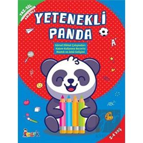 Yetenekli Panda Yaz Sil Kalemli Kitap - Bıcırık Yayınları
