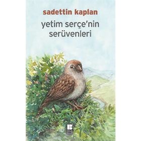 YETIM SERÇE'NIN SERÜVENI - SADETTIN KAPLAN