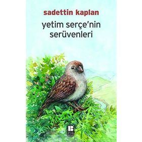 Yetim Serçe'nin Serüvenleri - Sadettin Kaplan