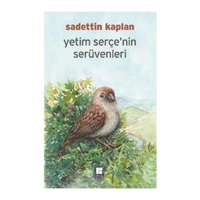 Yetim Serçe'nin Serüvenleri - Sadettin Kaplan