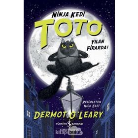 Yılan Firarda Ninja Kedi Toto - Dermot O'Leary