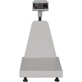 Yıldırım 300 kg 50x60 cm Tartım Baskülü