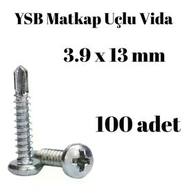 Yıldız Silindir Başlı 100 Adet - 3.9 x 13 mm Ysb Matkap Uçlu Akıllı Vida