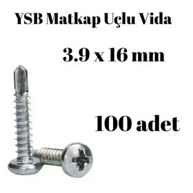 Yıldız Silindir Başlı 100 Adet - 3.9 x 16 mm Ysb Matkap Uçlu Akıllı Vida