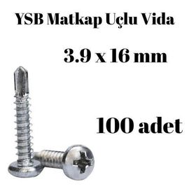 Yıldız Silindir Başlı 100 Adet - 3.9 x 16 mm Ysb Matkap Uçlu Akıllı Vida