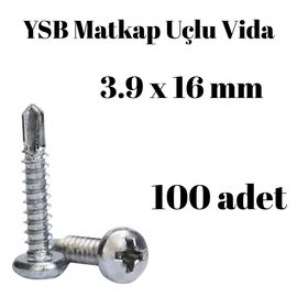 Yıldız Silindir Başlı 100 Adet - 3.9 x 16 mm Ysb Matkap Uçlu Akıllı Vida
