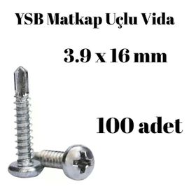 Yıldız Silindir Başlı 100 Adet - 3.9 x 16 mm Ysb Matkap Uçlu Akıllı Vida