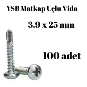 Yıldız Silindir Başlı 100 Adet - 3.9 x 25 mm Ysb Matkap Uçlu Akıllı Vida