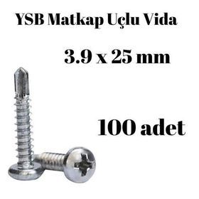Yıldız Silindir Başlı 100 Adet - 3.9 x 25 mm Ysb Matkap Uçlu Akıllı Vida