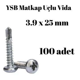 Yıldız Silindir Başlı 100 Adet - 3.9 x 25 mm Ysb Matkap Uçlu Akıllı Vida