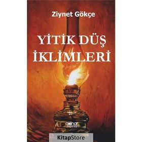 Yitik Düş İklimleri - Ziynet Gökçe