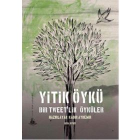 Yitik Ülke Yayınları Yitik Öykü