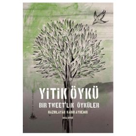 Yitik Ülke Yayınları Yitik Öykü