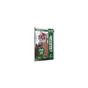 YKS DİL IntroPack 20x20 Mini Deneme Canavarı Modadil Yayınları